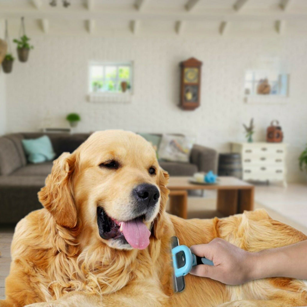 Pet/Dog/Cat Grooming Trimmer