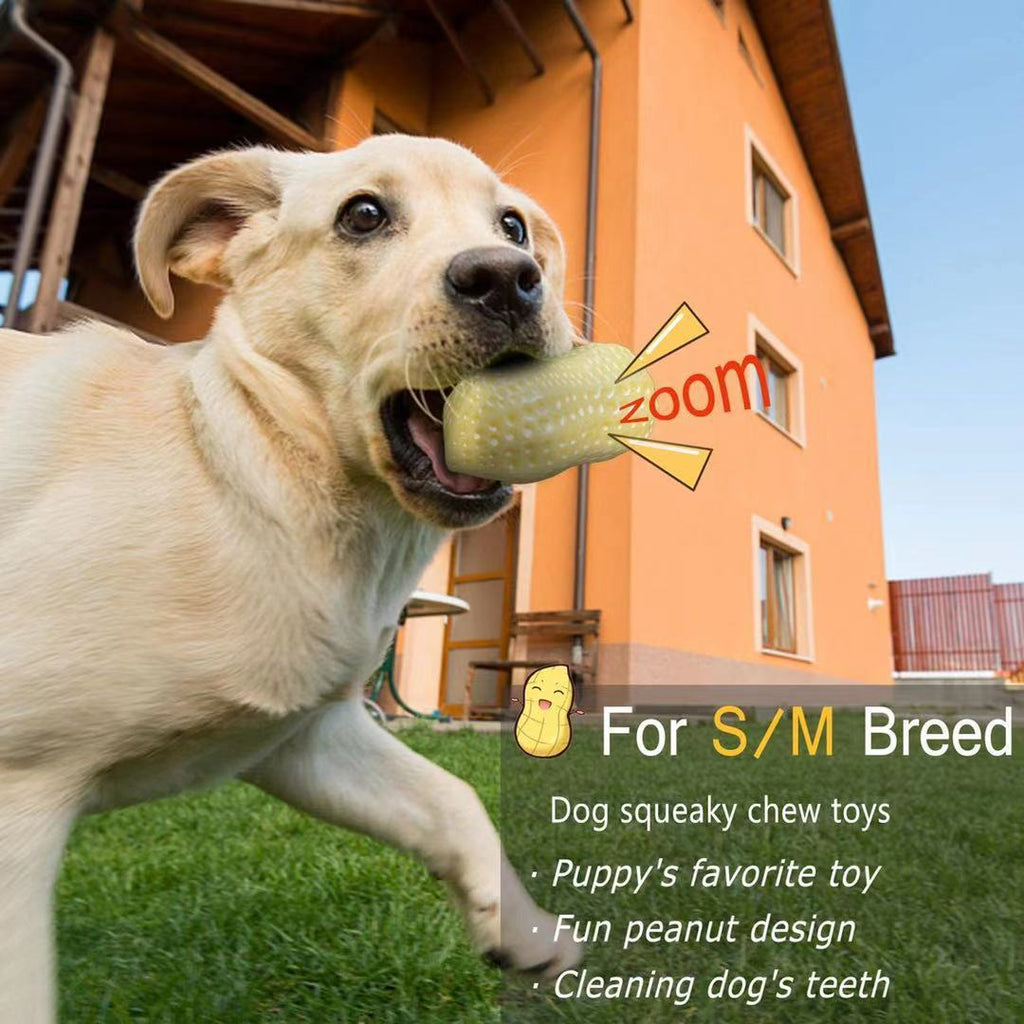 Funny Pet Dog Squeaky Toy