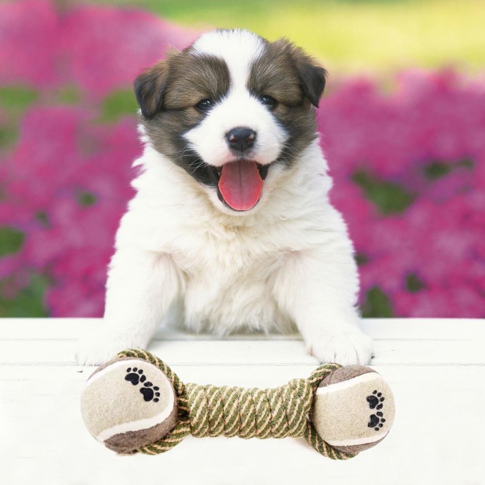 Pet/Dogs/Cats Cotton Rope Toys Ball