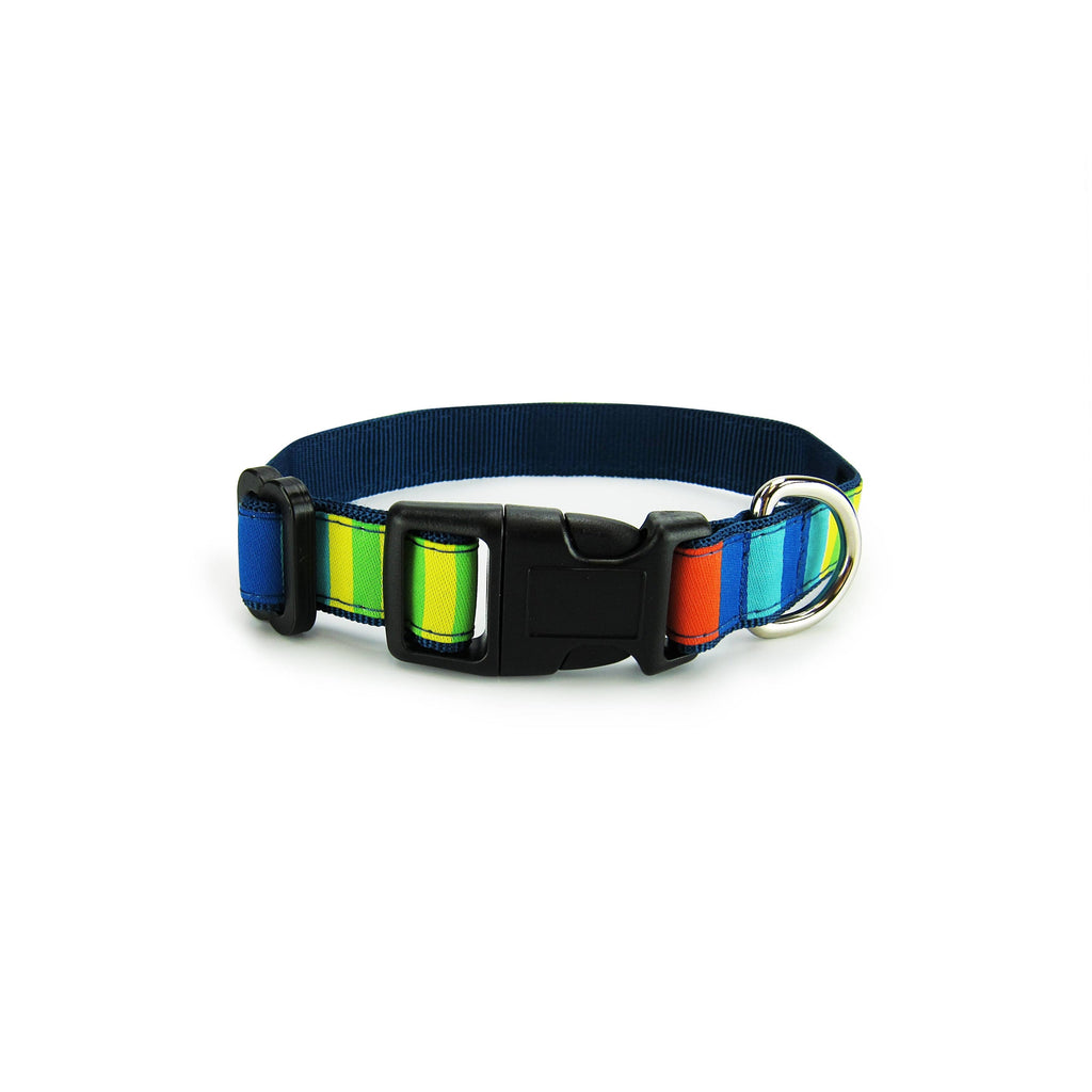 Party Stripes - Dog Collar