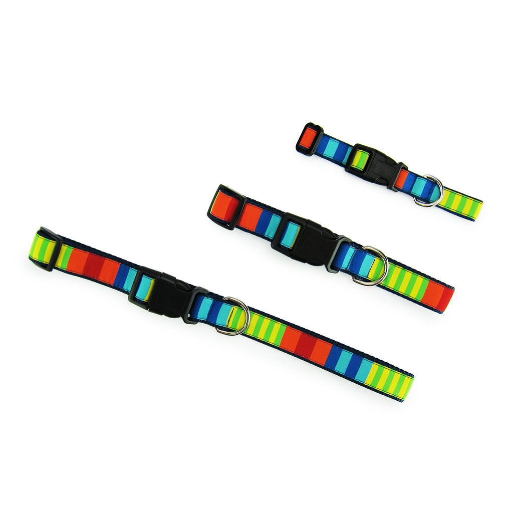 Party Stripes - Dog Collar