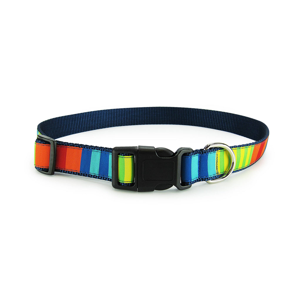Party Stripes - Dog Collar