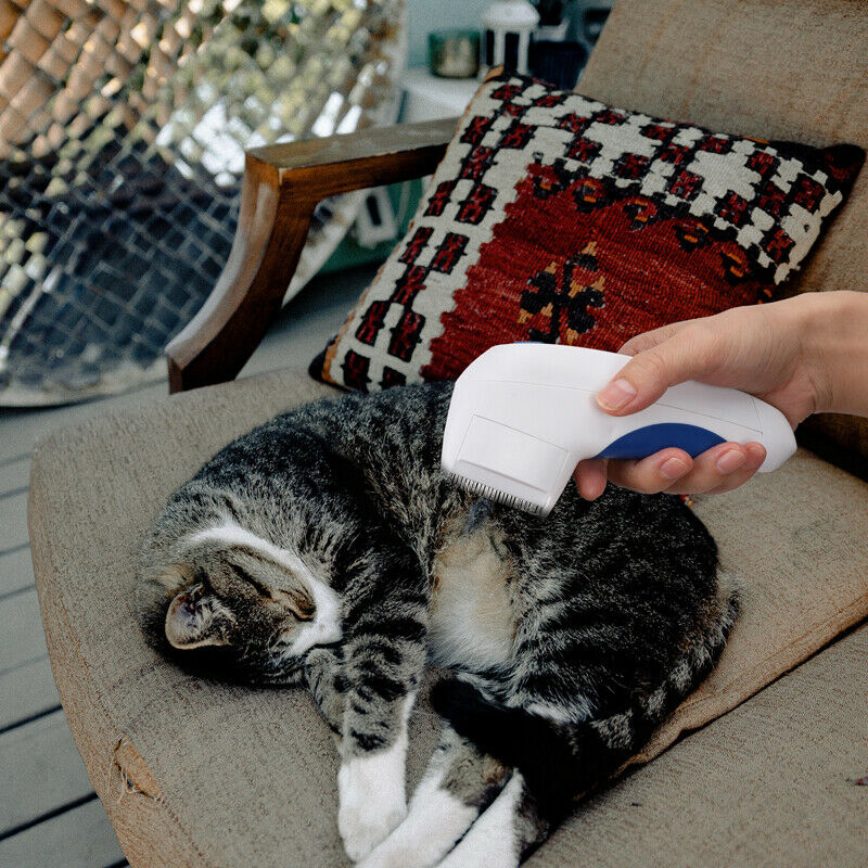 Electric Comb Pet Head - Lice Removal