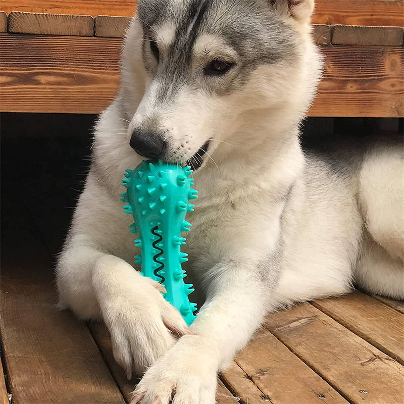 Pet/Dog Cleaning Chew Toy